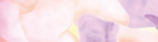 Manuel pour changer de corps, Noah Truong