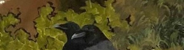 Faïel & les histoires du monde, de paolo bellomo