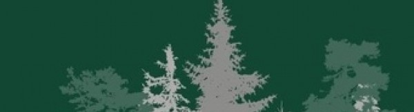 Les Terres Indomptées, Lauren Groff