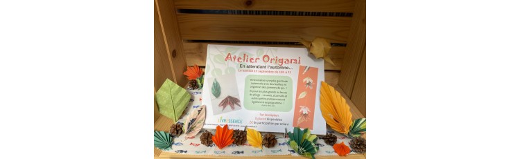 Atelier Origami d'Automne