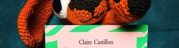 Tu es mignon parce que tu es un peu nul - Claire Castillon