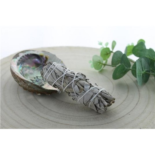 SAUGE BLANCHE GREEN TREE BATON PURIFICATEUR PETIT MODELE