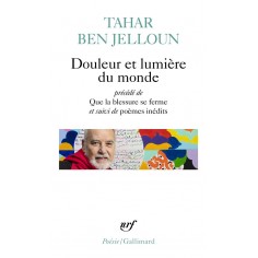DOULEUR ET LUMIERE DU MONDE PRECEDE DE QUE LA BLESSURE SE FERME