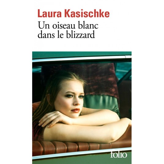 UN OISEAU BLANC DANS LE BLIZZARD