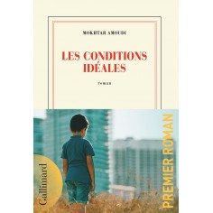 LES CONDITIONS IDEALES