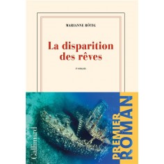 LA DISPARITION DES REVES