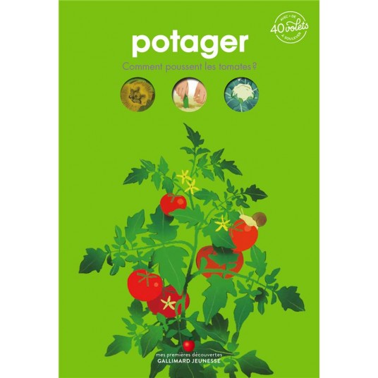 POTAGER - COMMENT POUSSENT LES TOMATES ?