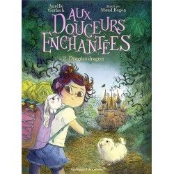 AUX DOUCEURS ENCHANTEES - VOL02 - DRAGEES DRAGON