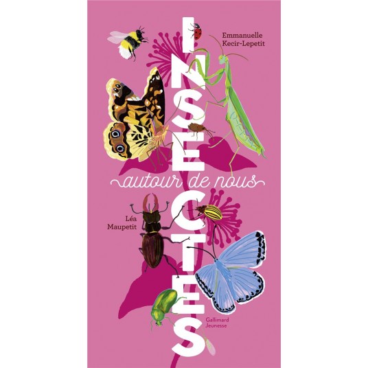 INSECTES AUTOUR DE NOUS