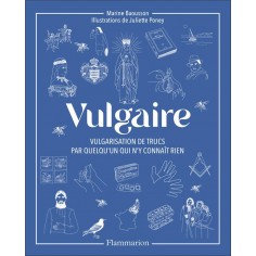 VULGAIRE - VULGARISATION DE TRUCS PAR QUELQU'UN QUI N'Y CONNAIT RIEN
