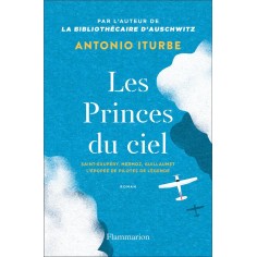 LES PRINCES DU CIEL - SAINT-EXUPERY, MERMOZ, GUILLAUMET, L'EPOPEE DE PILOTES DE LEGENDE