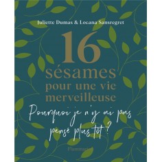 16 SESAMES POUR UNE VIE MERVEILLEUSE - POURQUOI JE N'Y AI PAS PENSE PLUS TOT ?