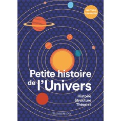 PETITE HISTOIRE DE L'UNIVERS - HISTOIRE, STRUCTURE, THEORIES