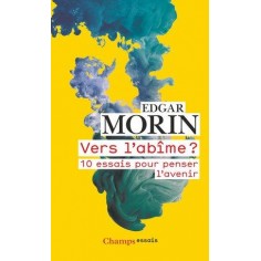 VERS L'ABIME ? - 10 ESSAIS POUR PENSER L'AVENIR