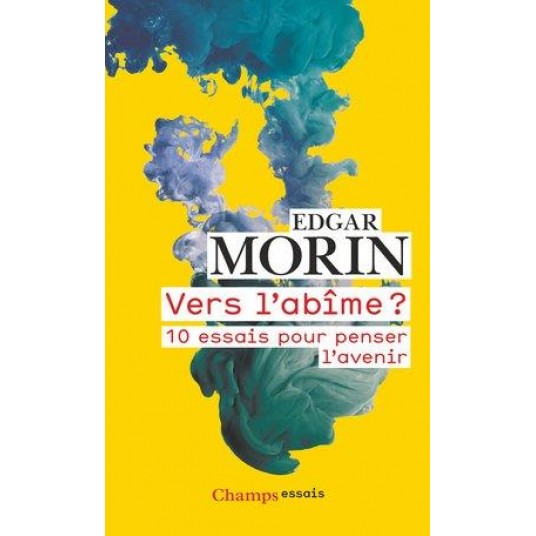 VERS L'ABIME ? - 10 ESSAIS POUR PENSER L'AVENIR