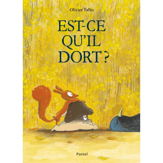 L'ECUREUIL - T05 - EST-CE QU'IL DORT ?