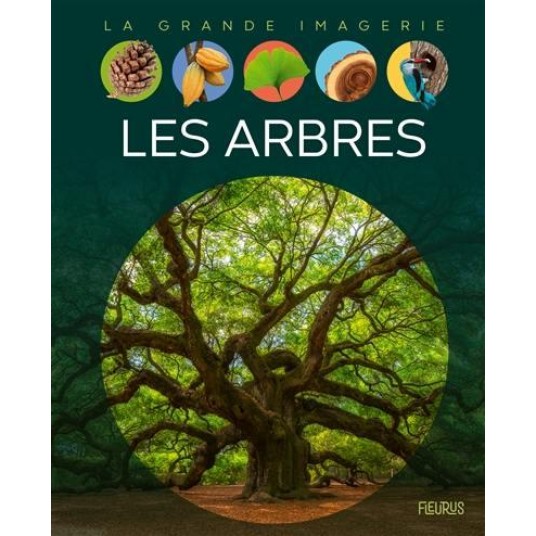 LES ARBRES