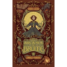 LES ARCANES DE BRUME - LIVRE 2 L'ORACLE MAUDIT