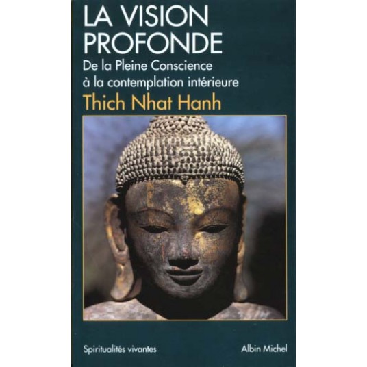 SPIRITUALITES VIVANTES POCHE - T131 - LA VISION PROFONDE (ESPACES LIBRES - SPIRITUALITES VIVANTES)