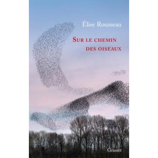 SUR LE CHEMIN DES OISEAUX - RECIT