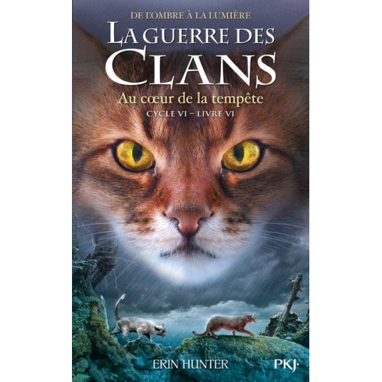 LA GUERRE DES CLANS, CYCLE VI - TOME 6 AU COEUR DE LA TOURMENTE - VOL06