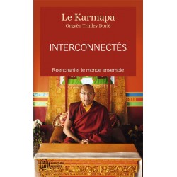 INTERCONNECTES - REENCHANTER LE MONDE ENSEMBLE
