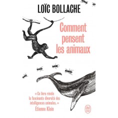 COMMENT PENSENT LES ANIMAUX