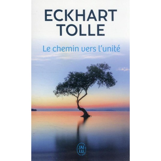 LE CHEMIN VERS L'UNITE