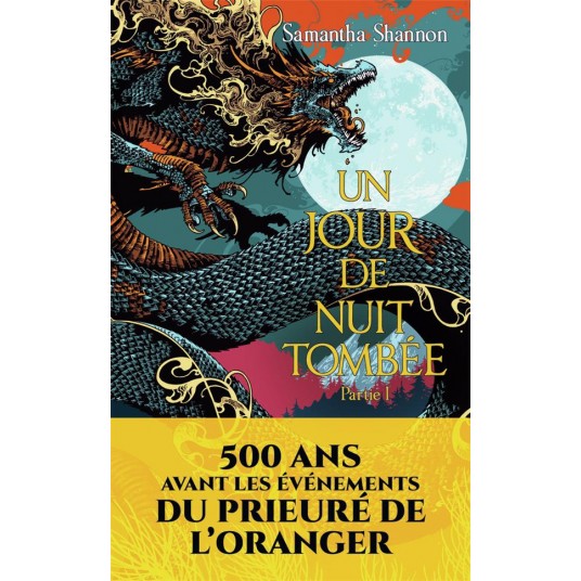 UN JOUR DE NUIT TOMBEE - PARTIE I