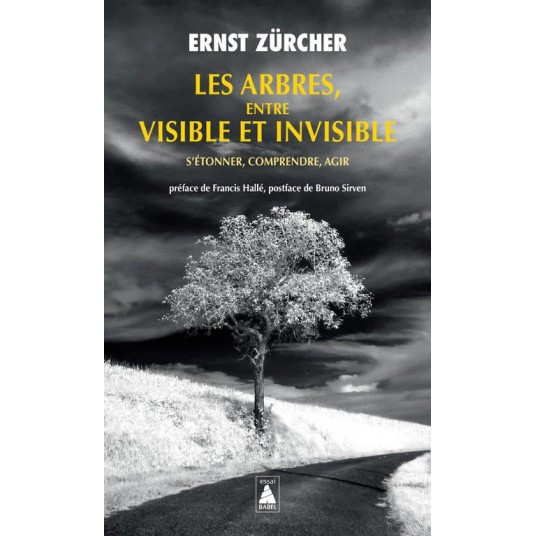 LES ARBRES, ENTRE VISIBLE ET INVISIBLE - S'ETONNER, COMPRENDRE, AGIR - ILLUSTRATIONS, NOIR ET BLANC