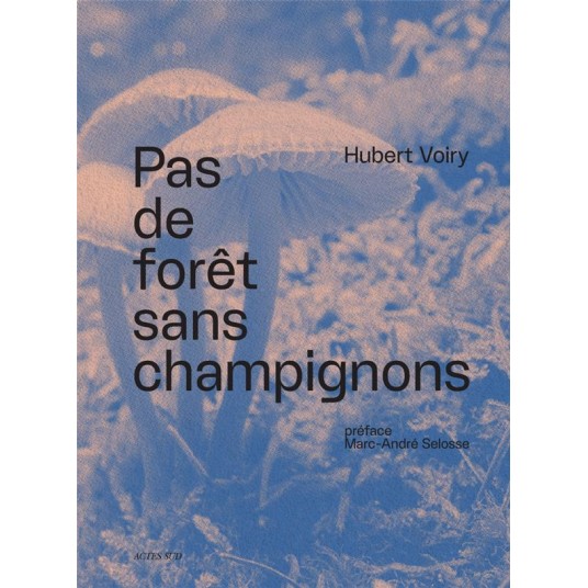 PAS DE FORET SANS CHAMPIGNONS