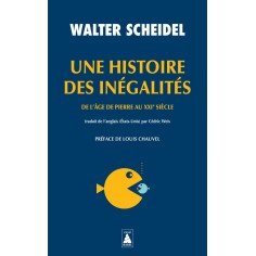 UNE HISTOIRE DES INEGALITES - DE L'AGE DE PIERRE AU XXIE SIECLE - ILLUSTRATIONS, NOIR ET BLANC