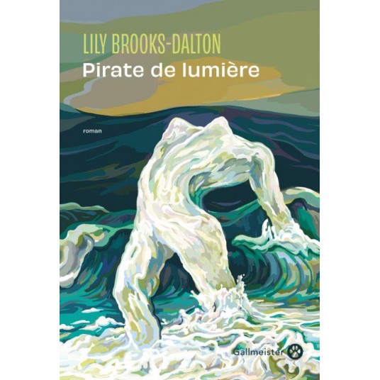 PIRATE DE LUMIERE