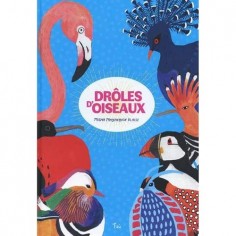 FEI ECOLOGIE - DROLE D'OISEAUX