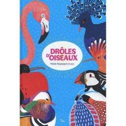 FEI ECOLOGIE - DROLE D'OISEAUX