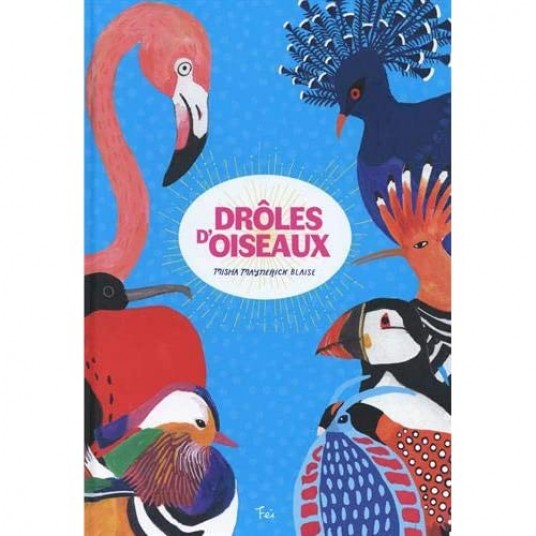 FEI ECOLOGIE - DROLE D'OISEAUX