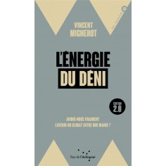 L'ENERGIE DU DENI - AVONS-NOUS VRAIMENT L'AVENIR DU CLIMAT E