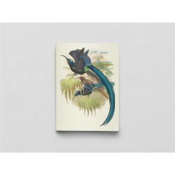 CARNET - OISEAUX DE NOUVELLEGUINEE - NOTES ET LECTURES