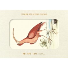 LIVRE D'IMAGES - RECUEIL DE DIVERS OISEAUX