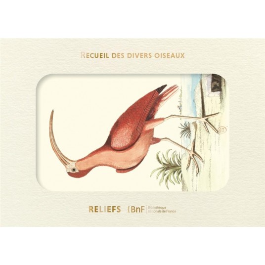 LIVRE D'IMAGES - RECUEIL DE DIVERS OISEAUX