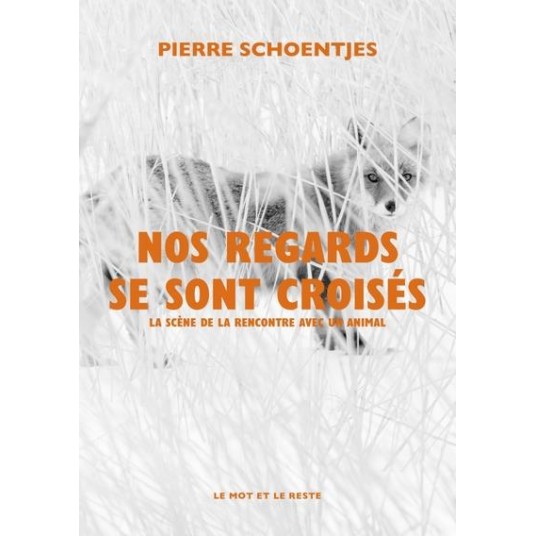NOS REGARDS SE SONT CROISES - LA SCENE DE LA RENCONTRE AVEC