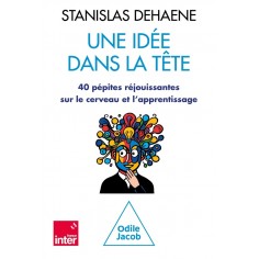 UNE IDEE DANS LA TETE - 40 PEPITES REJOUISSANTES SUR LE CERVEAU ET L'APPRENTISSAGE