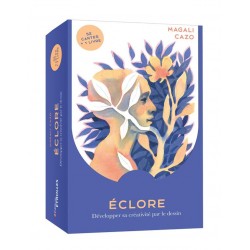 ECLORE : DEVELOPPER SA CREATIVITE PAR LE DESSIN - 52 CARTES + UN LIVRE