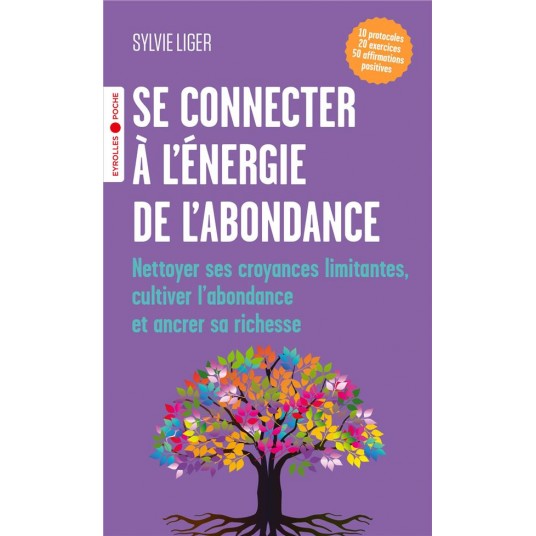 SE CONNECTER A L'ENERGIE DE L'ABONDANCE - NETTOYER SES CROYANCES LIMITANTES, CULTIVER L'ABONDANCE ET