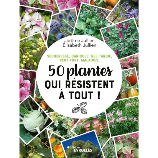 SECHERESSE, CANICULE, GEL TARDIF, VENT FORT, MALADIES, 50 PLANTES QUI RESISTENT A TOUT !