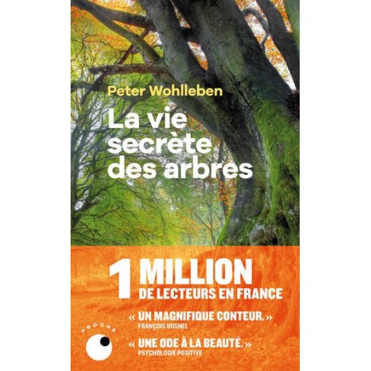 LA VIE SECRETE DES ARBRES