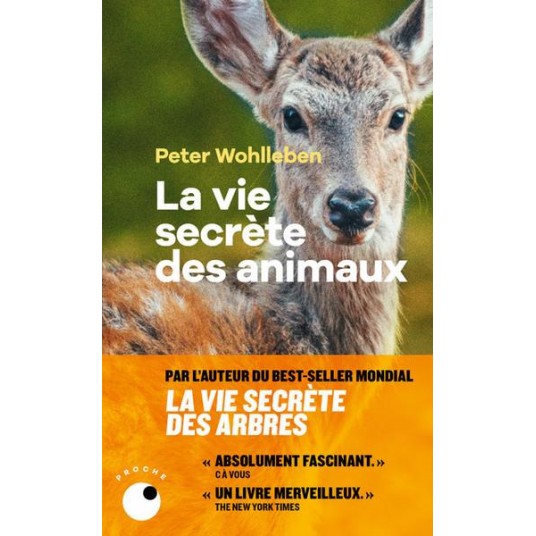 LA VIE SECRETE DES ANIMAUX