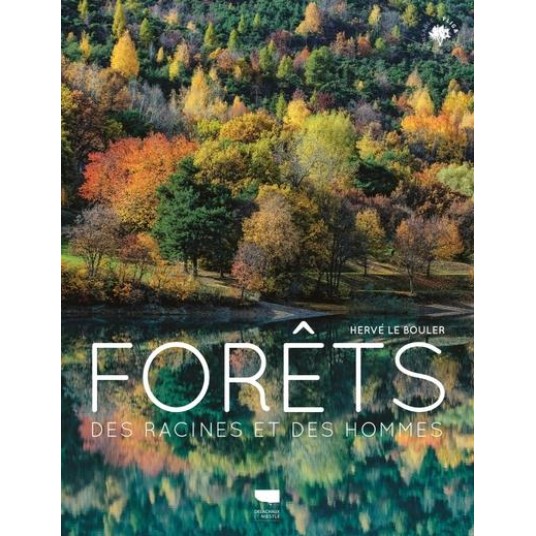FORETS - DES RACINES ET DES HOMMES