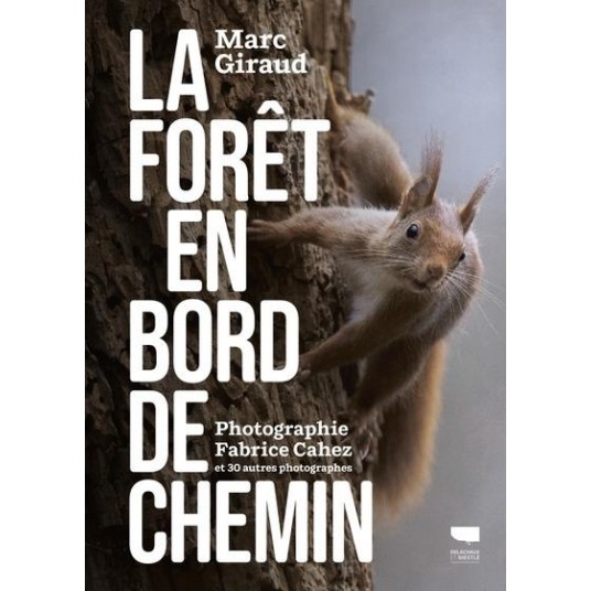 LA FORET EN BORD DE CHEMIN