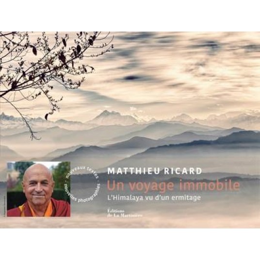 UN VOYAGE IMMOBILE (NVELLE EDITION)